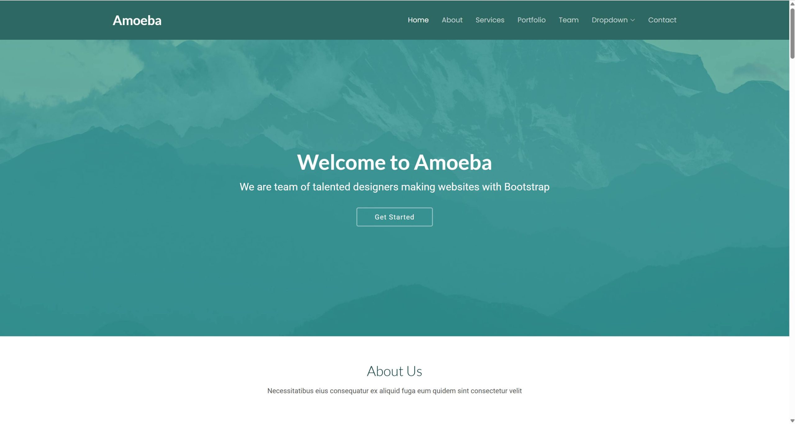 Amoeba-pro-泽途网
