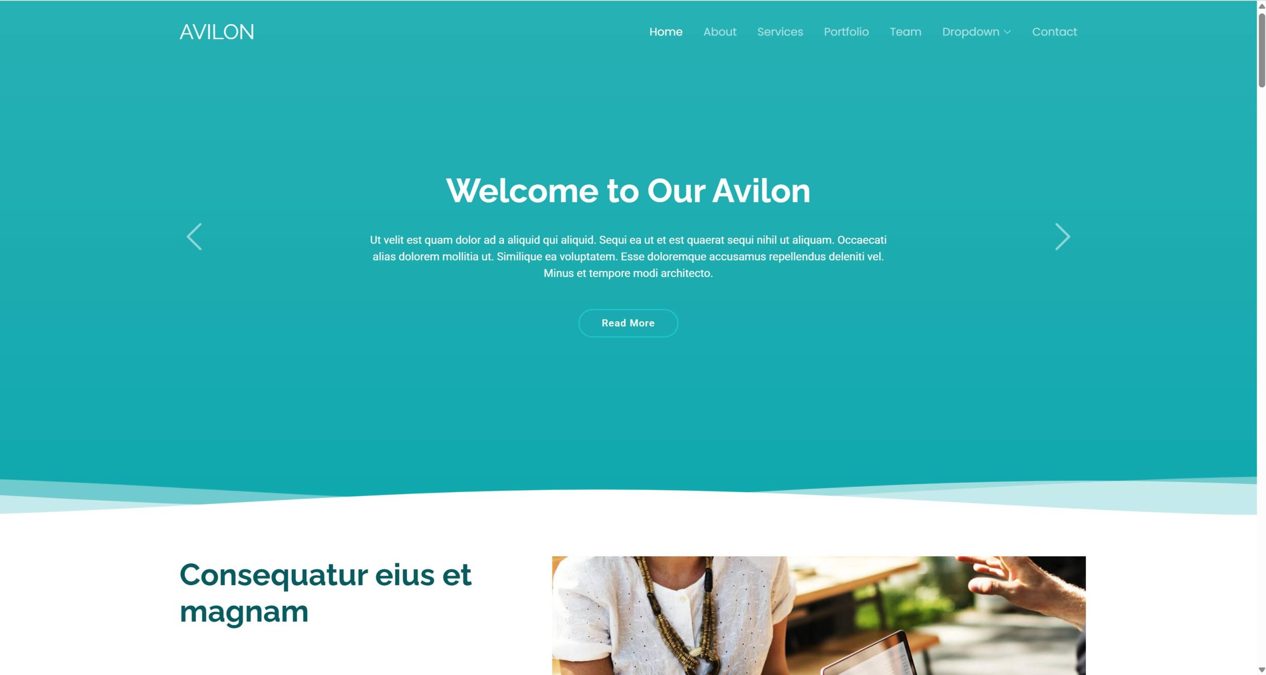 Avilon-pro-泽途网